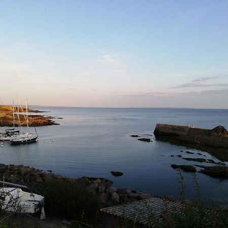 Agréable maison neuve, 5 personnes, piscine hors-sol privée du 15 juin à mi-septembre Moëlan-sur-Mer Esterno foto